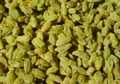 Green Raisins